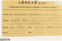 登錄號:B00020336藏品圖，第2張