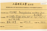 登錄號:B00020337藏品圖，第2張