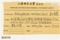 登錄號:B00020338藏品圖，第2張