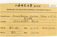 溪邊青蘚藏品圖，第2張