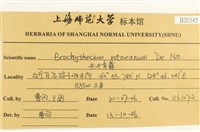 長葉青蘚藏品圖，第2張