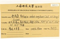燕尾蘚藏品圖，第2張