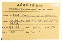 曲柄蘚藏品圖，第2張