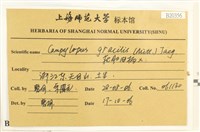 登錄號:B00020356藏品圖，第2張