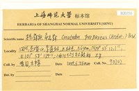 角齒蘚藏品圖，第2張