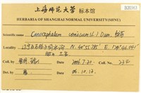 蛇苔藏品圖，第2張