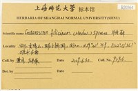 登錄號:B00020364藏品圖，第2張