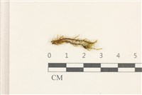 登錄號:B00020365藏品圖，第1張