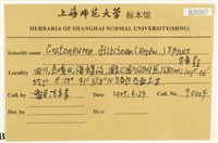 登錄號:B00020367藏品圖，第2張