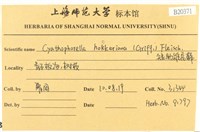 登錄號:B00020371藏品圖，第2張