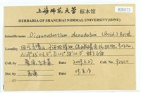 青毛苔藏品圖，第2張