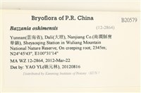 館號:B00020579藏品圖，第2張