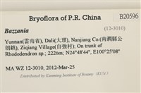 登錄號:B00020596藏品圖，第2張