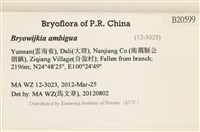 登錄號:B00020599藏品圖，第2張