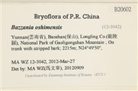 登錄號:B00020602藏品圖，第2張
