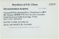 登錄號:B00020609藏品圖，第2張