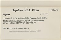 登錄號:B00020625藏品圖，第2張