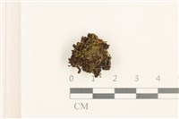 登錄號:B00020625藏品圖，第1張