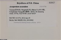 登錄號:B00020627藏品圖，第2張