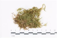 登錄號:B00020627藏品圖，第1張