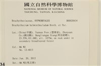 登錄號:B00020634藏品圖，第2張