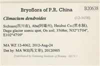 登錄號:B00020638藏品圖，第2張
