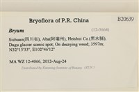 登錄號:B00020639藏品圖，第2張