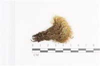 登錄號:B00020641藏品圖，第1張