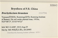 登錄號:B00020643藏品圖，第2張