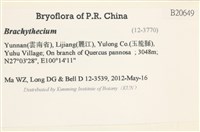 登錄號:B00020649藏品圖，第2張