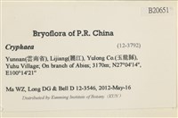 登錄號:B00020651藏品圖，第2張