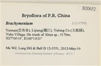 登錄號:B00020652藏品圖，第2張