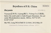 登錄號:B00020654藏品圖，第2張