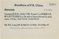 登錄號:B00020676藏品圖，第2張