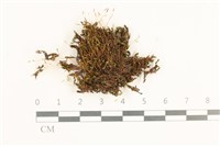 登錄號:B00020676藏品圖，第1張