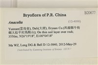 登錄號:B00020677藏品圖，第2張