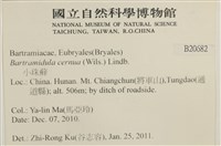 小珠蘚藏品圖，第2張