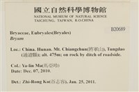 登錄號:B00020689藏品圖，第2張