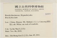 登錄號:B00020691藏品圖，第2張