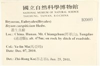 叢生真蘚藏品圖，第2張