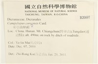 東亞曲柄蘚藏品圖，第2張