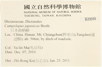 日本曲柄蘚藏品圖，第2張
