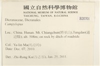 登錄號:B00020701藏品圖，第2張