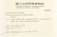 角齒蘚藏品圖，第2張