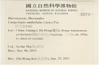 登錄號:B00020770藏品圖，第2張