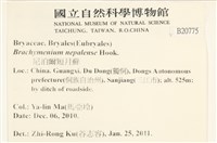 那霸短月蘚藏品圖，第2張