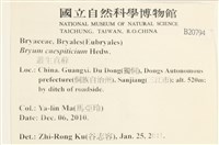 叢生真蘚藏品圖，第2張