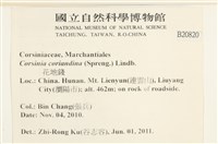 登錄號:B00020820藏品圖，第2張