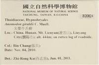 登錄號:B00020824藏品圖，第2張