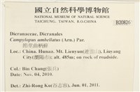 登錄號:B00020826藏品圖，第2張
